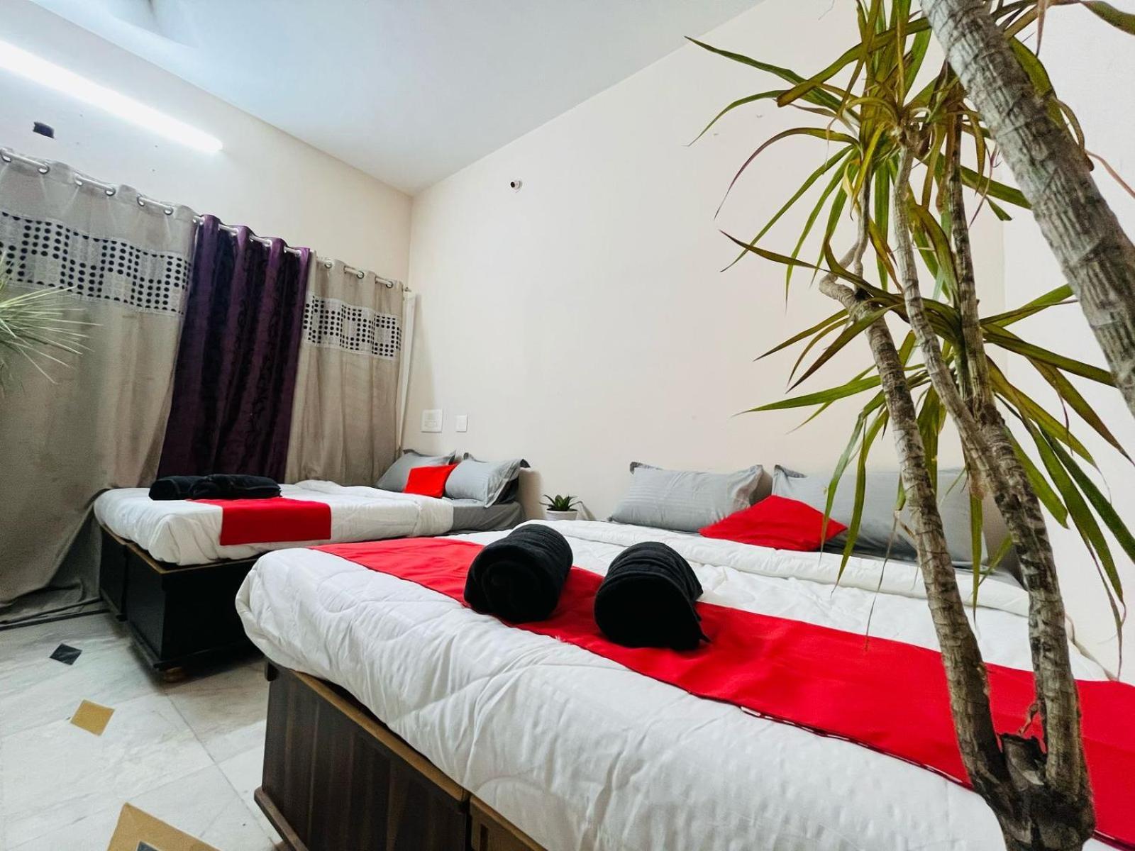 Adh Hazel Wood Hotel Mysore Eksteriør billede